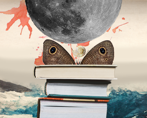 article cover image: a moth peeks over a stack of books on a backdrop of an ocean with red watercolor splatters over it, a gray moon hangs low in the sky above the moth and a shell floats between them