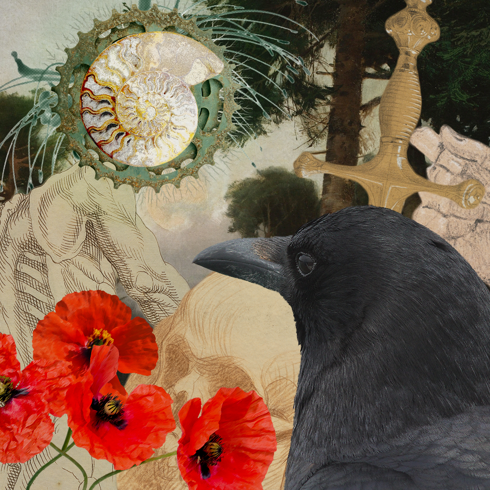 April '23 playlist cover art: a crow looks out onto a bundle of poppies, in the background are anatomical sketches and a sketch of a sword pierces the bird's head, in the sky of a barely visible forested background is a nautilus shell with a gear around it